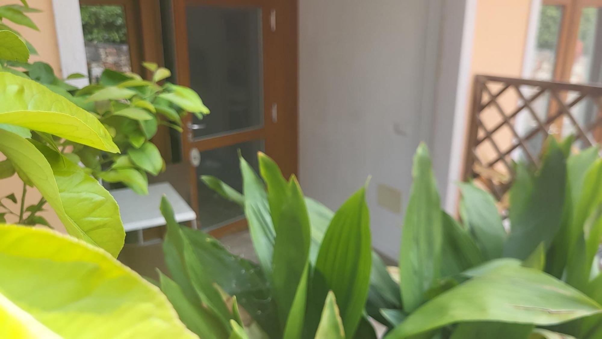 Residence Villa Margherita Brenzone sul Garda Kültér fotó