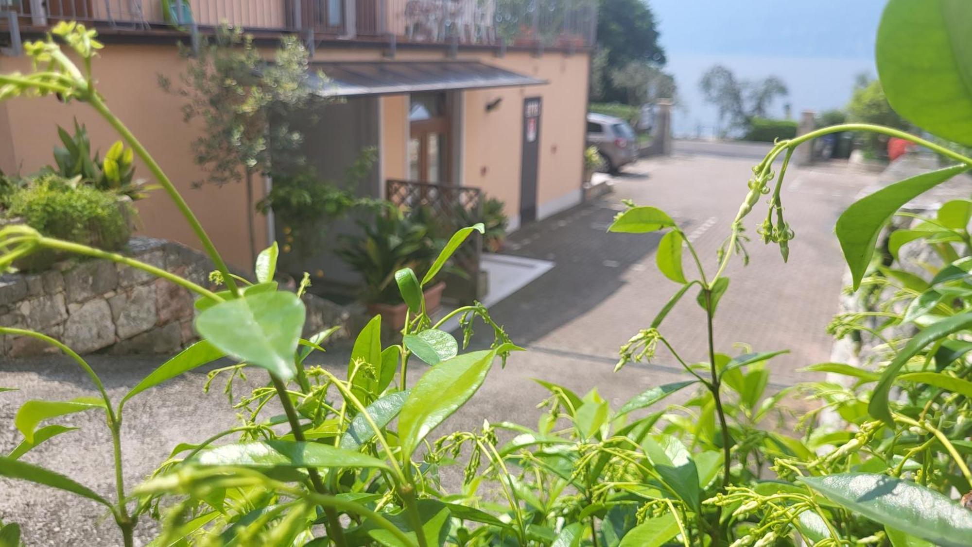 Residence Villa Margherita Brenzone sul Garda Kültér fotó